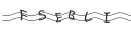 raptcha.png